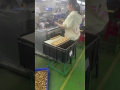 özel 3d plastik pvc vinil tasarım oyuncağı özel sanat oyuncağı üreticisi