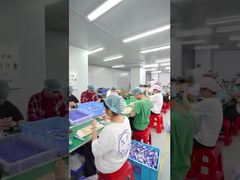 Özel kör kutu PVC figürleri için profesyonel OEM fabrikası - özelleştirme ve üretim